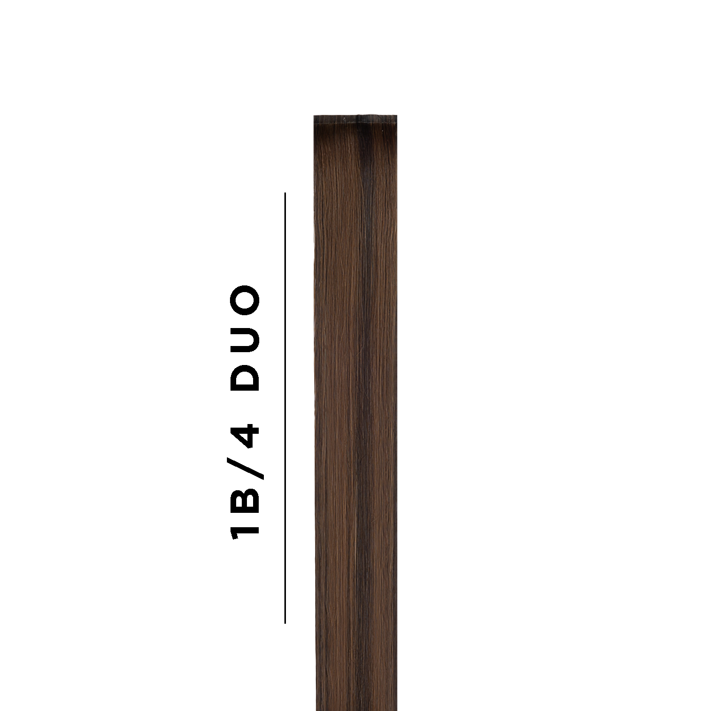 1B/4 Duo Tone Sample Clip In Hair Extension