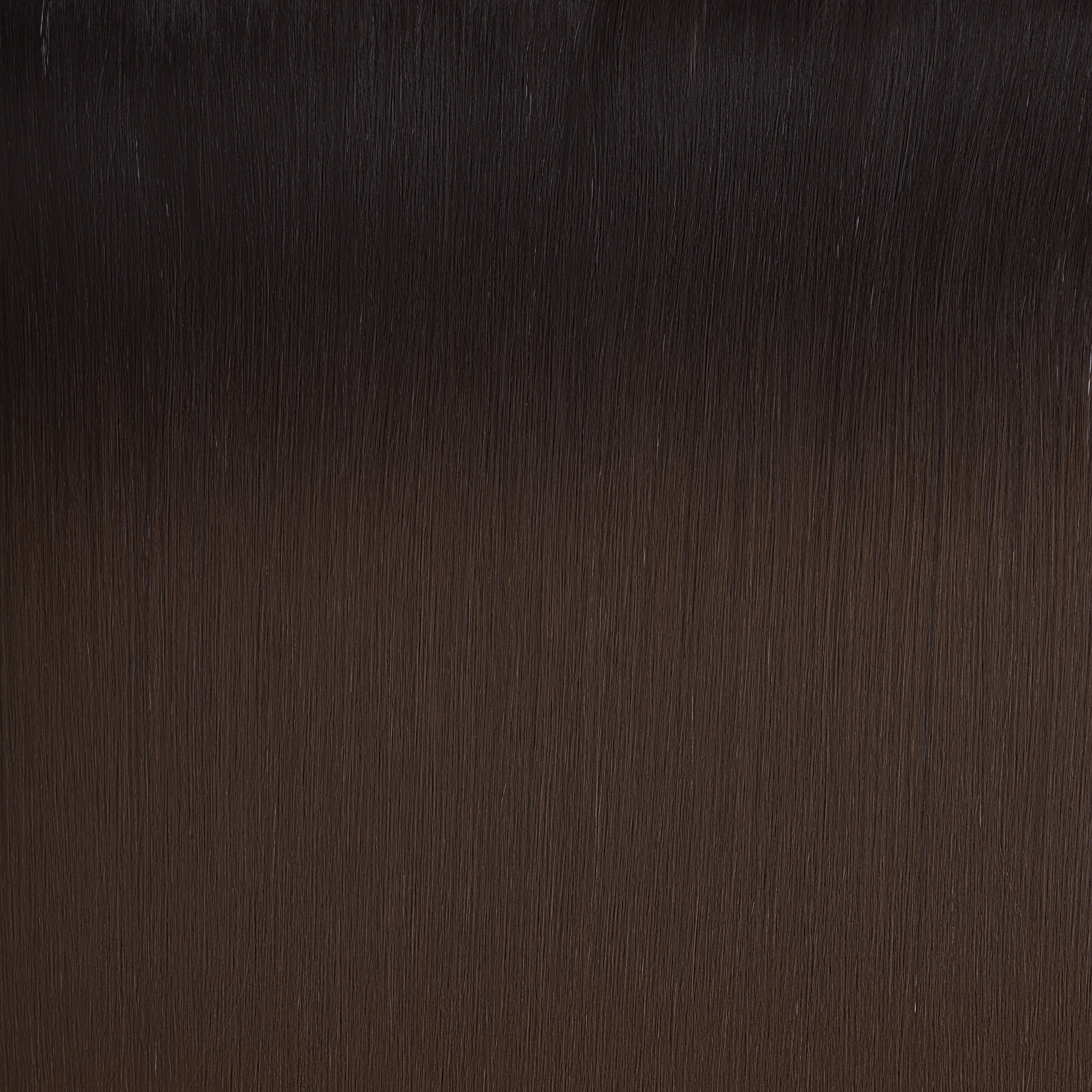 1B/4 Balayage Sample Clip In Hair Extension