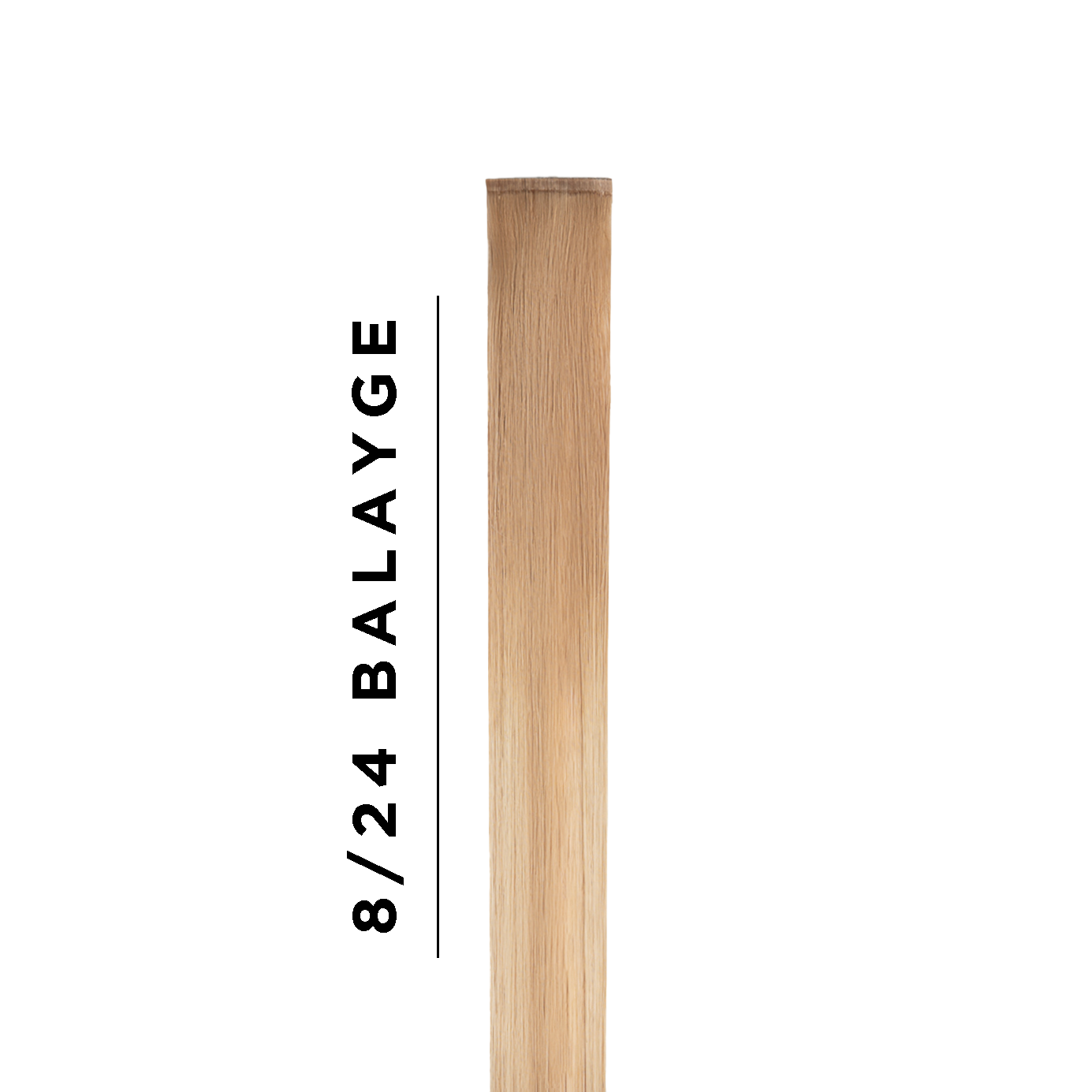 #8/24 Balayage Sample Clip In Hair Extension
