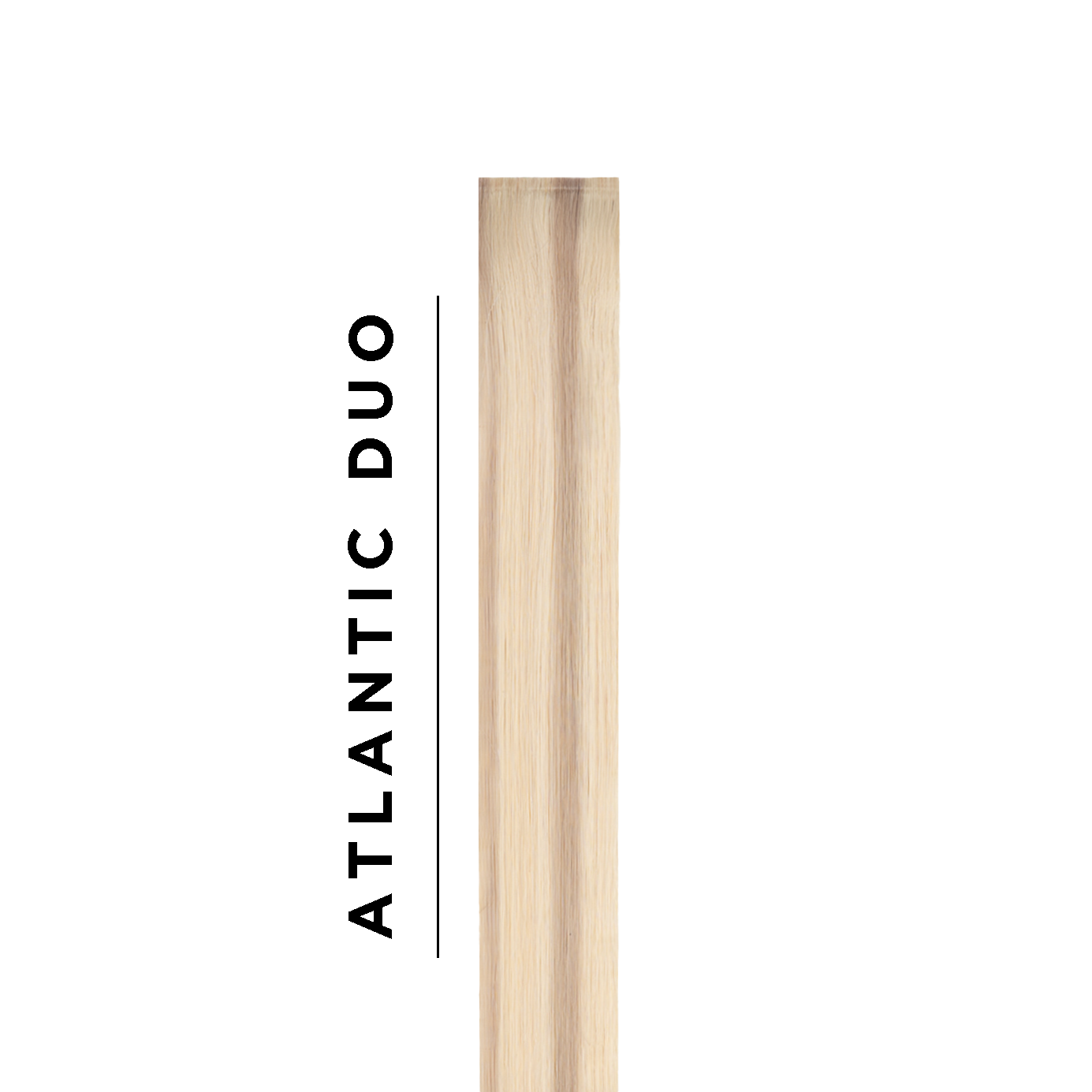 #Atlantic Duo Tone Sample Clip In Hair Extension