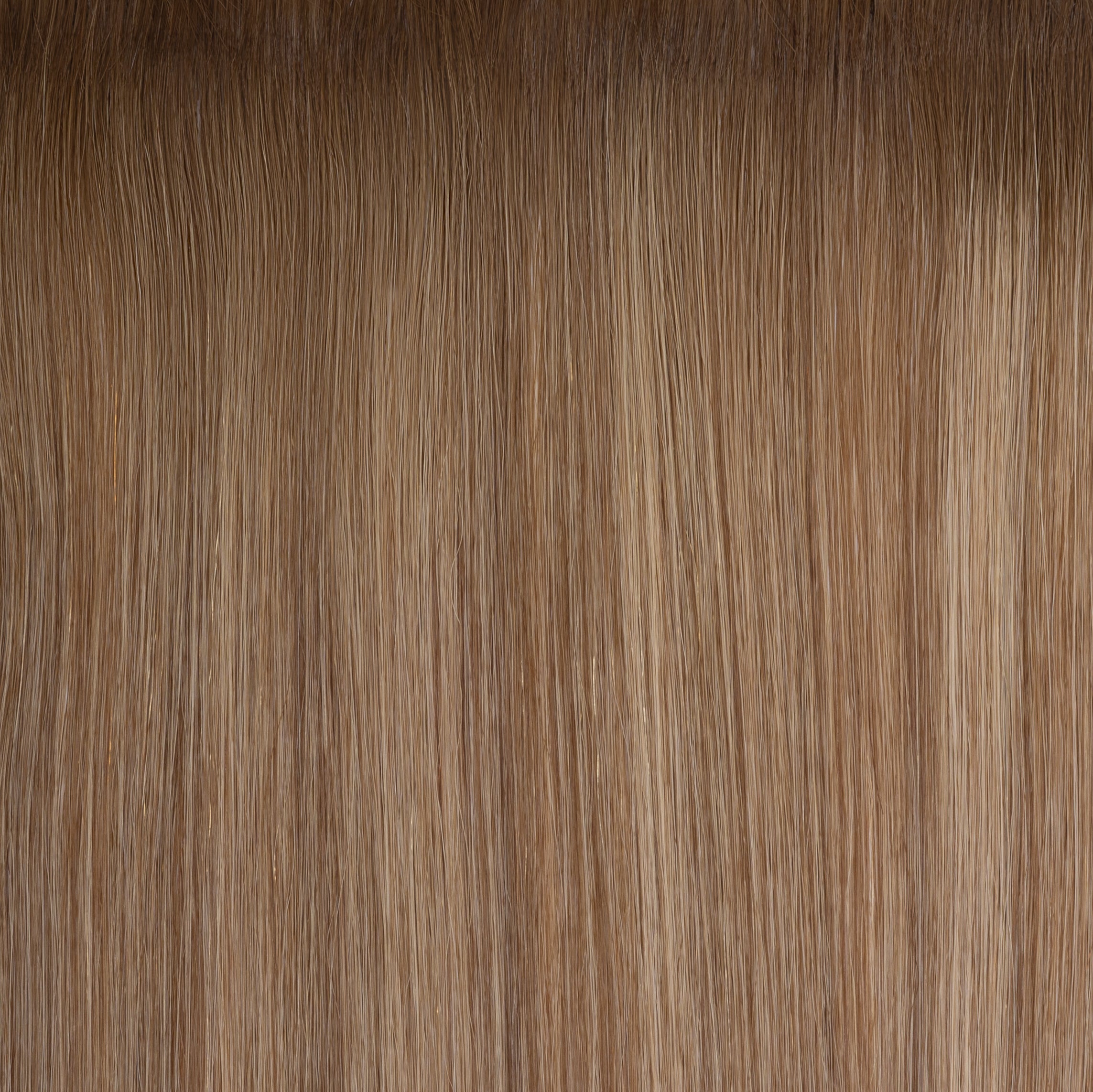 Light Brown Beige Blonde 'Erie' Root Tap Blend Sample Clip In Hair Extension