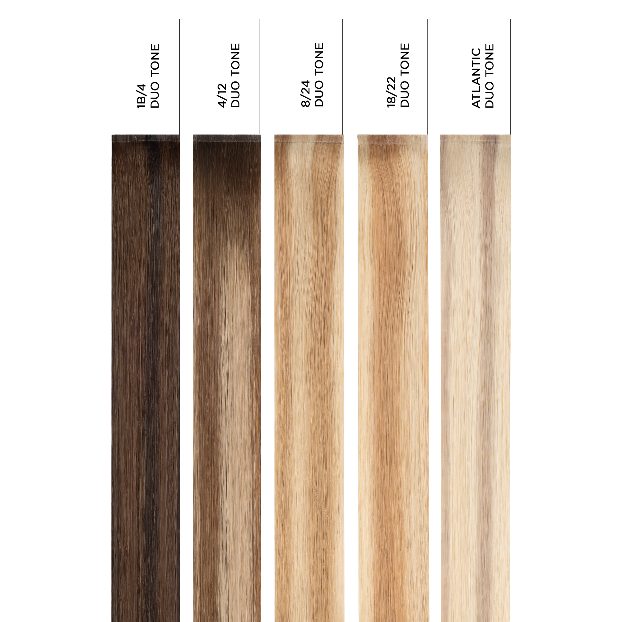 #1B/4 Duo Tone Sample Clip In Hair Extension